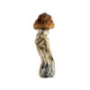 Steel Magnolia Magic Mushroom