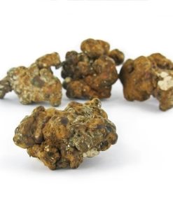 Hollandia Magic Truffles