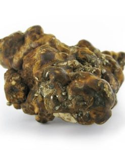 Hollandia Magic Truffles