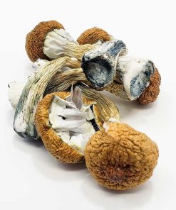 Blue Meanies Magic Mushroom
