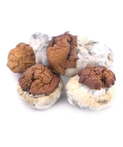 Blue Pulaski mushroom