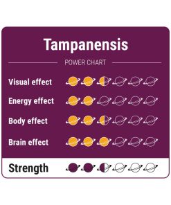 Tampanensis Power Chart