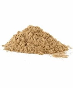 Button Mushroom (Agaricus bisporus) Powder Extract (100 mg)