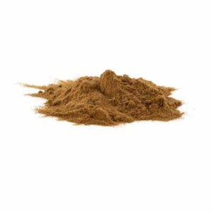 Reishi mushroom extract