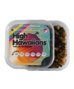 High Hawaiians Magic Truffles