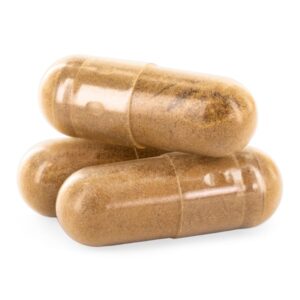 Zamnesia Lion's Mane Mushroom Capsules (400mg)