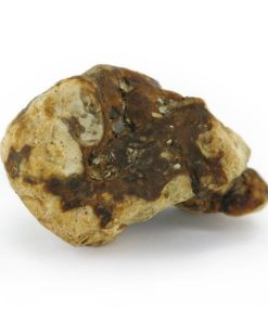 Atlantis Magic Truffles