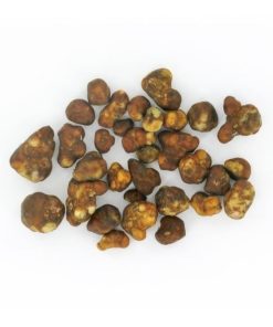 Fantasia Magic Truffles