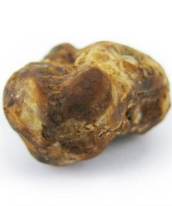 Pajaritos Magic Truffles