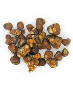Pajaritos Magic Truffles