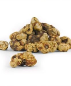 Tampanensis Magic Truffles