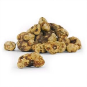 Tampanensis Magic Truffles