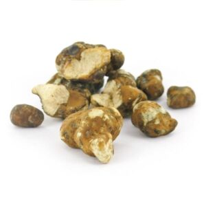 Tampanensis Magic Truffles