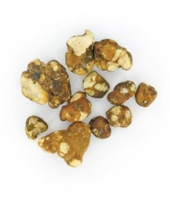 Tampanensis Magic Truffles