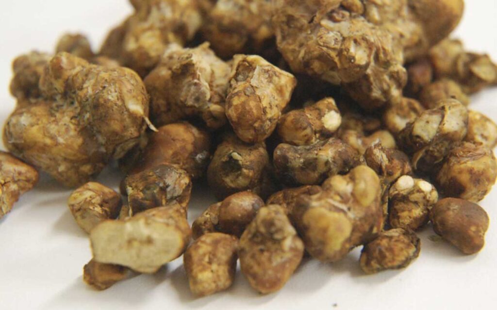 microdosing magic truffles