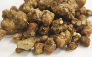 microdosing magic truffles