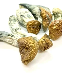 Makilla Gorilla Magic Mushroom