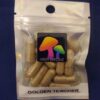 psilocybin microdose capsule