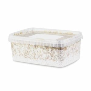 Classic Psilocybe cubensis Amazonia grow kit 1