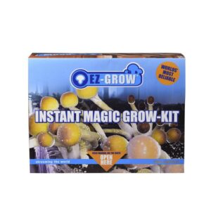 Classic Psilocybe cubensis Amazonia grow kit 3 box