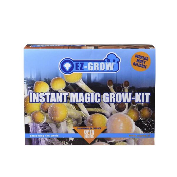 Classic Psilocybe cubensis Amazonia grow kit 3 box