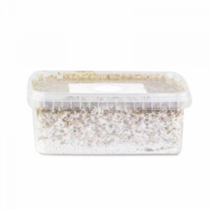 classic Chitwan Grow kit 4