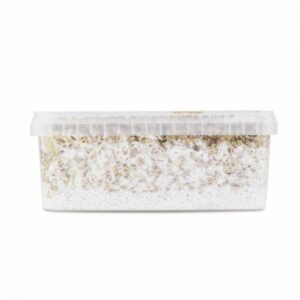 classic Chitwan Grow kit 3