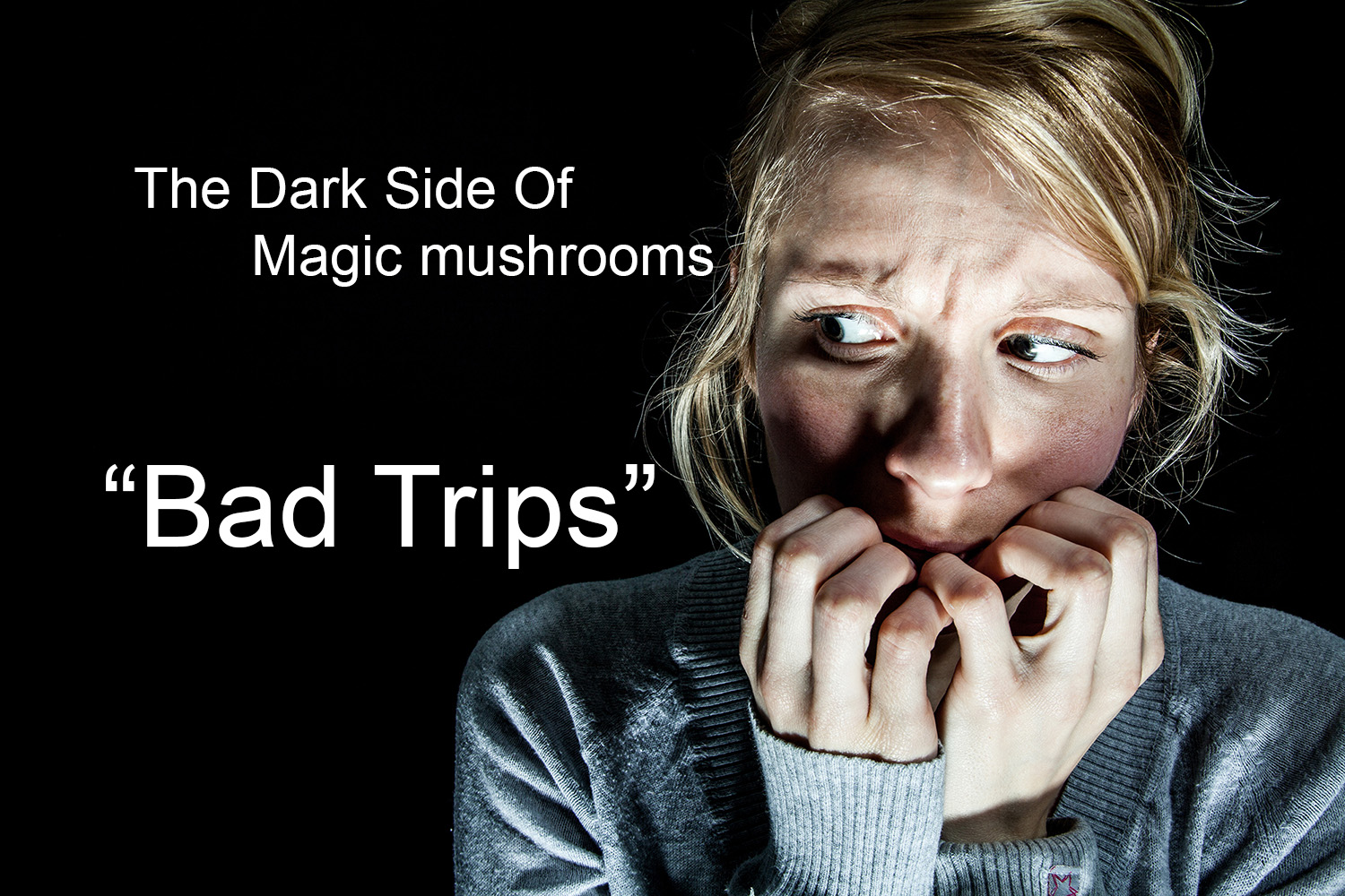 psychedelic mushroom bad trips