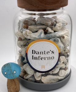 Dante’s Inferno Magic Mushroom