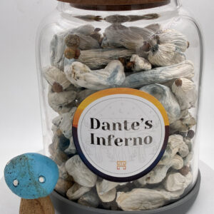 Dante’s Inferno Magic Mushroom