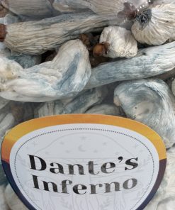 Dante’s Inferno Magic Mushroom
