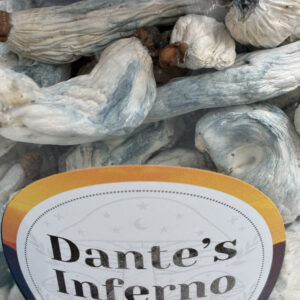 Dante’s Inferno Magic Mushroom