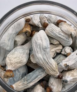 Dante’s Inferno Magic Mushroom
